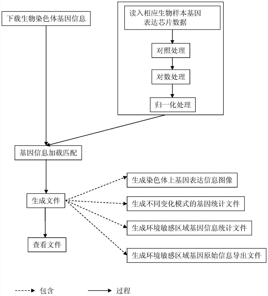 A method for locating and displaying biological gene expression information and environmentally sensitive regions on chromosomes