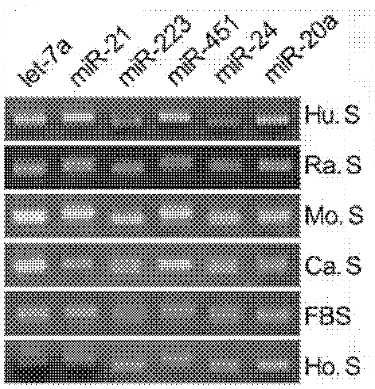 Marker for detecting colon and rectum cancer as well as detection method, kit and biological chip thereof