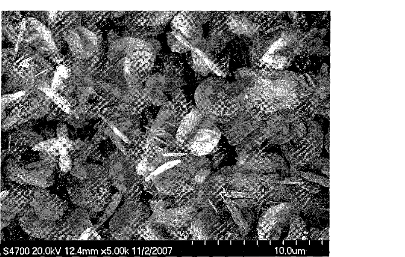 Method for synthesizing zeolite on cordierite carrier