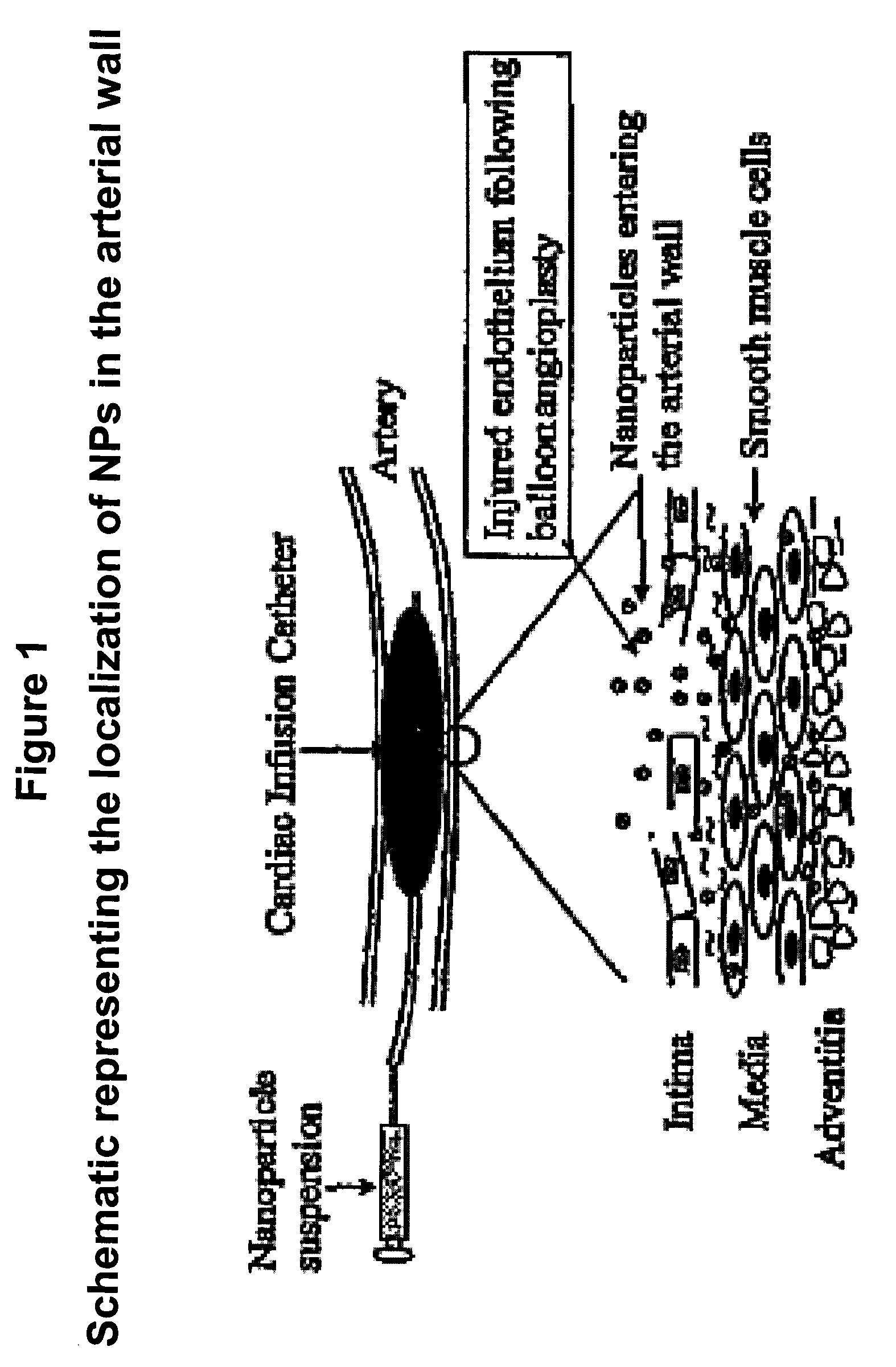 Apoptosis-Modulating Protein Therapy for Proliferative Disorders and Nanoparticles Containing the Same