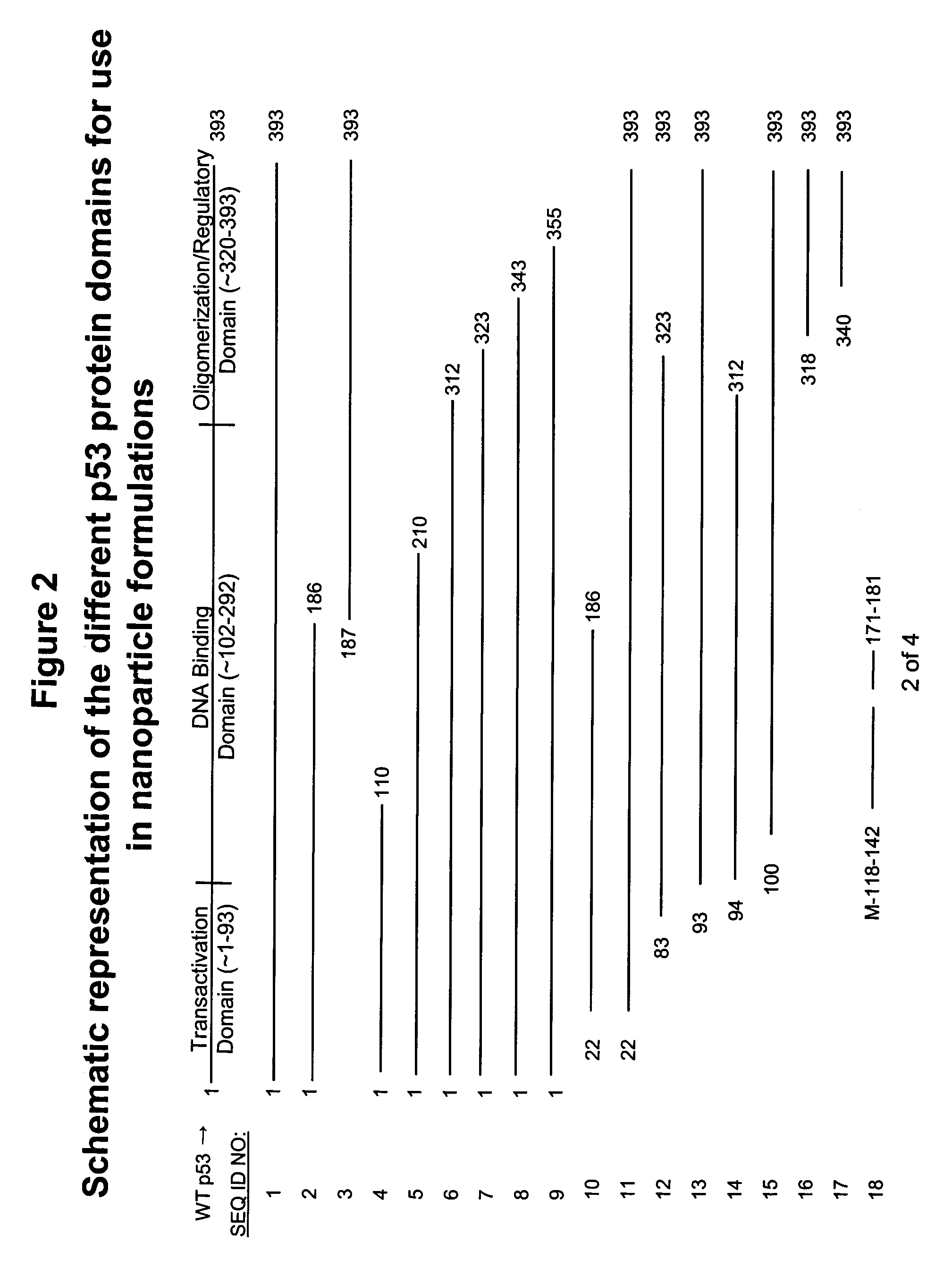 Apoptosis-Modulating Protein Therapy for Proliferative Disorders and Nanoparticles Containing the Same