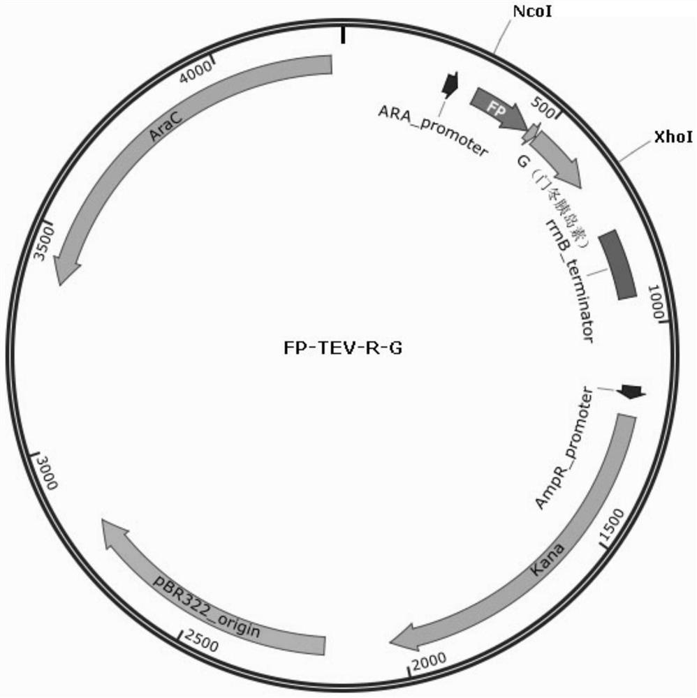 Preparation method of insulin aspart