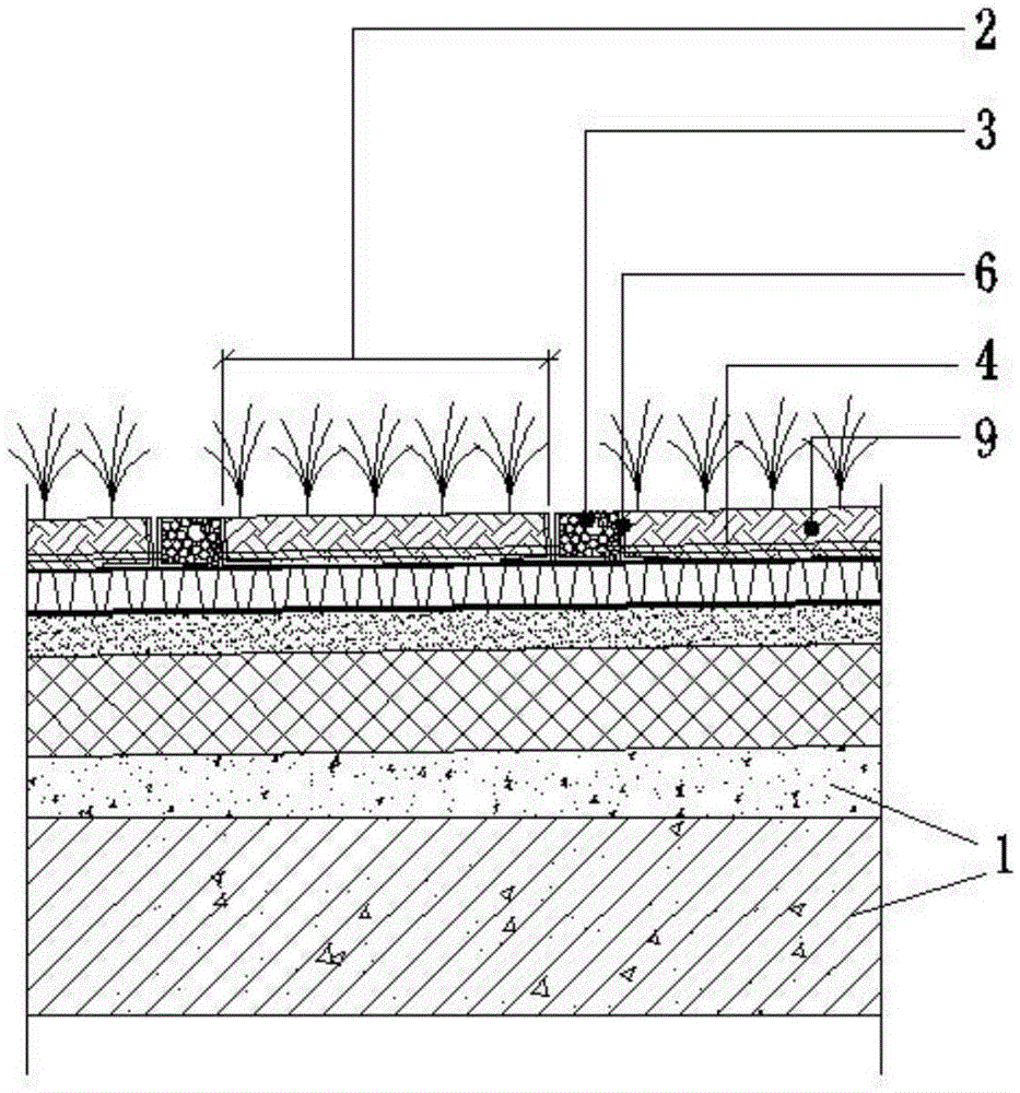 Roof afforestation system