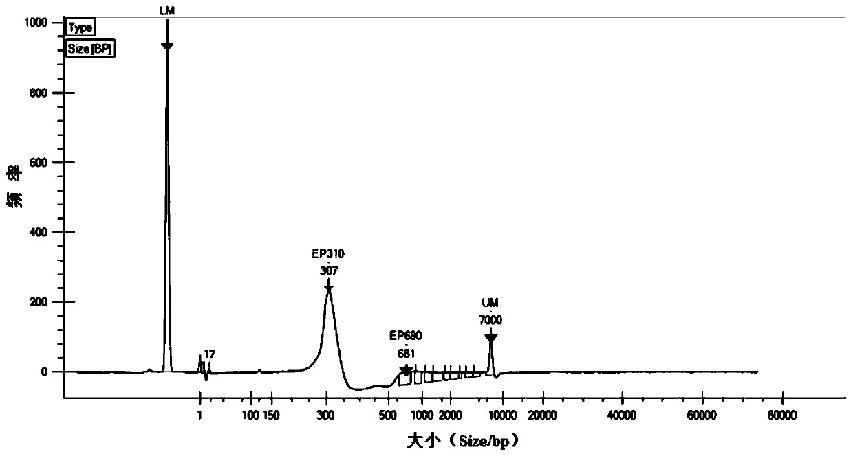 Plasma DNA library and construction method thereof