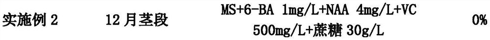 Preparation method of magnolia flower callus culture