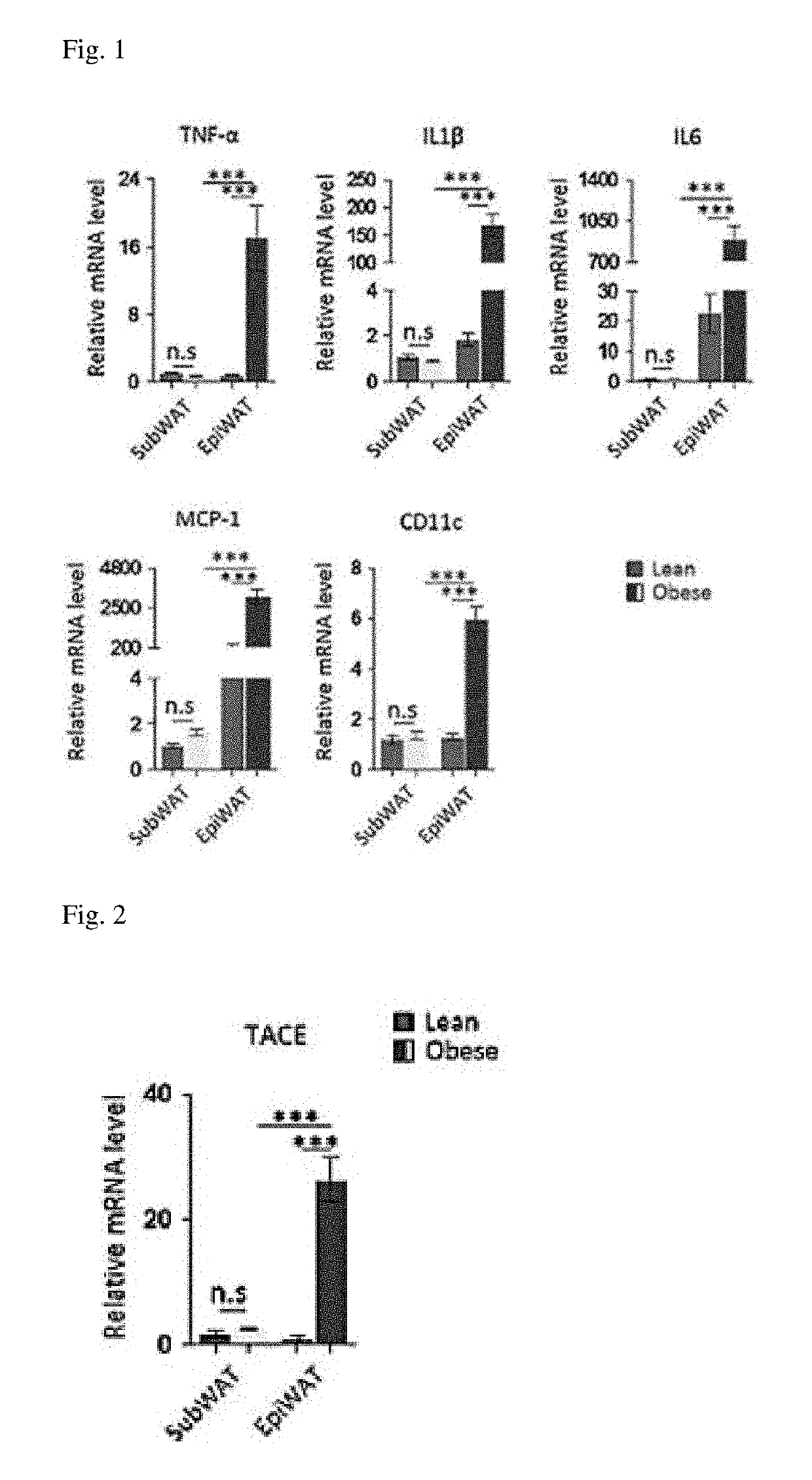 Visceral adipose tissue macrophage-targeted gene/carrier complex for preventing or treating obesity-induced type ii diabetes