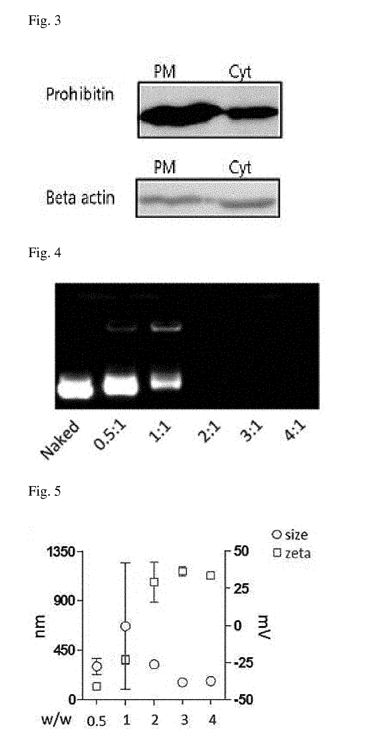 Visceral adipose tissue macrophage-targeted gene/carrier complex for preventing or treating obesity-induced type ii diabetes