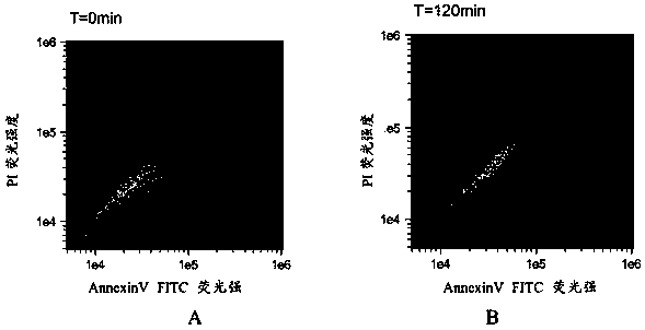 Method for detecting apoptosis of dinoflagellate cells