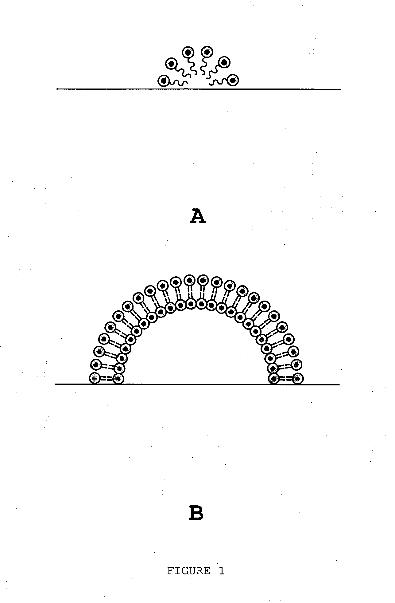 Biocompatible method of functionalising substrates with inert surfaces