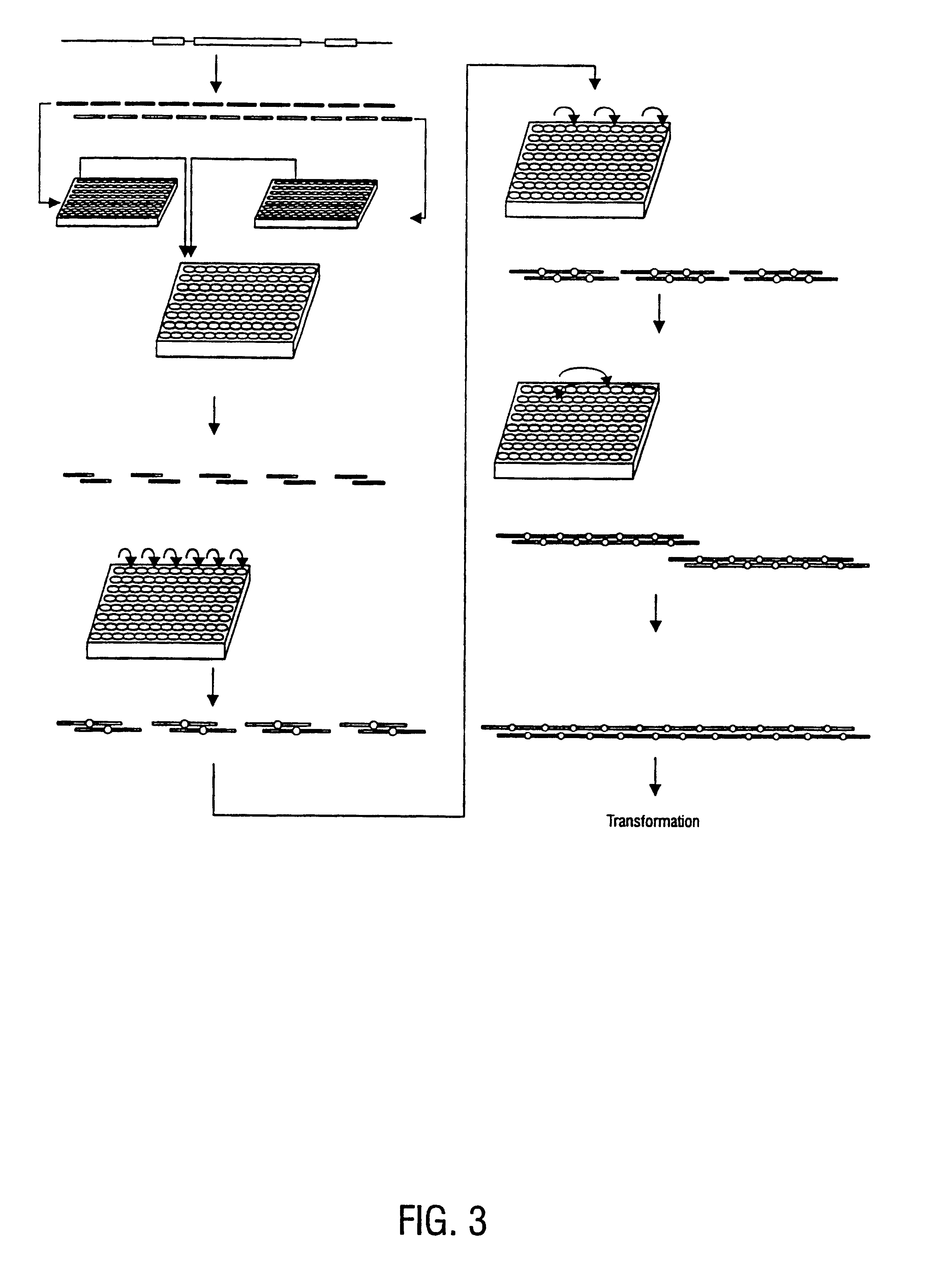 Method for the complete chemical synthesis and assembly of genes and genomes