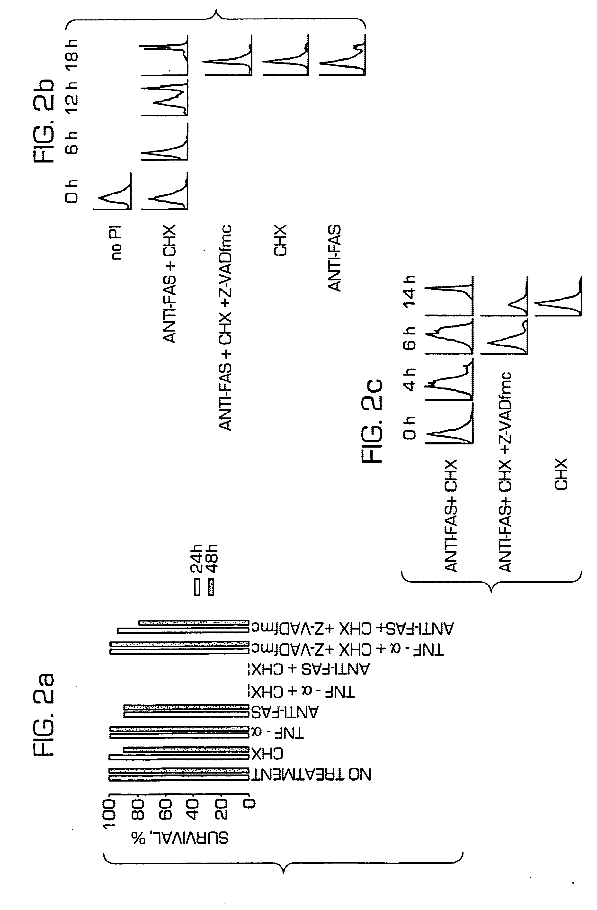 Compounds, methods of screening, and in vitro and in vivo uses involving anti-apoptotic genes and anti-apoptotic gene products