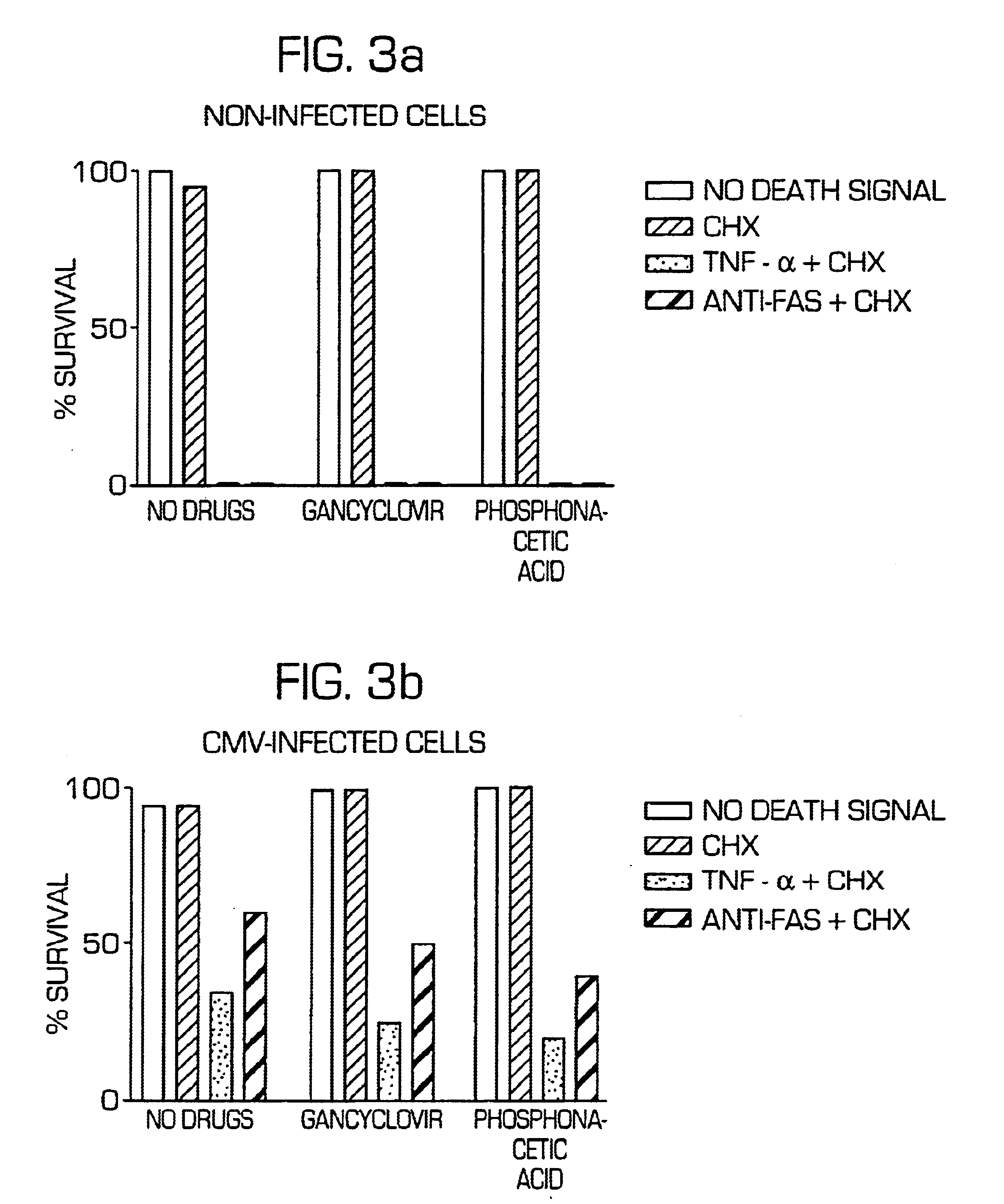 Compounds, methods of screening, and in vitro and in vivo uses involving anti-apoptotic genes and anti-apoptotic gene products