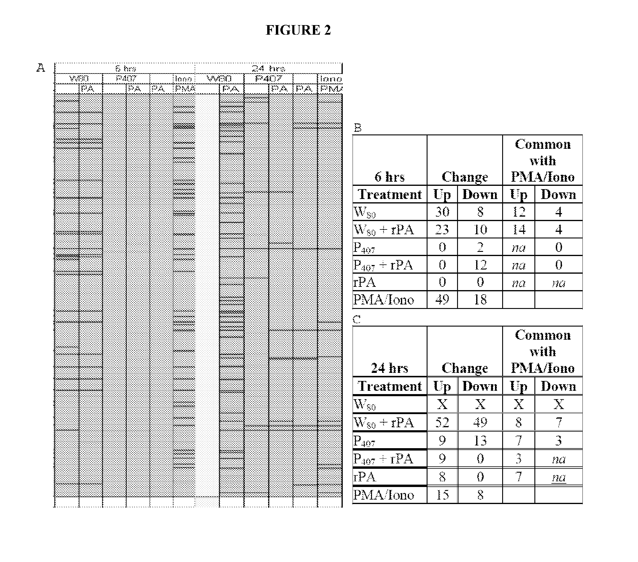 Cancer vaccine compositions and methods of using the same