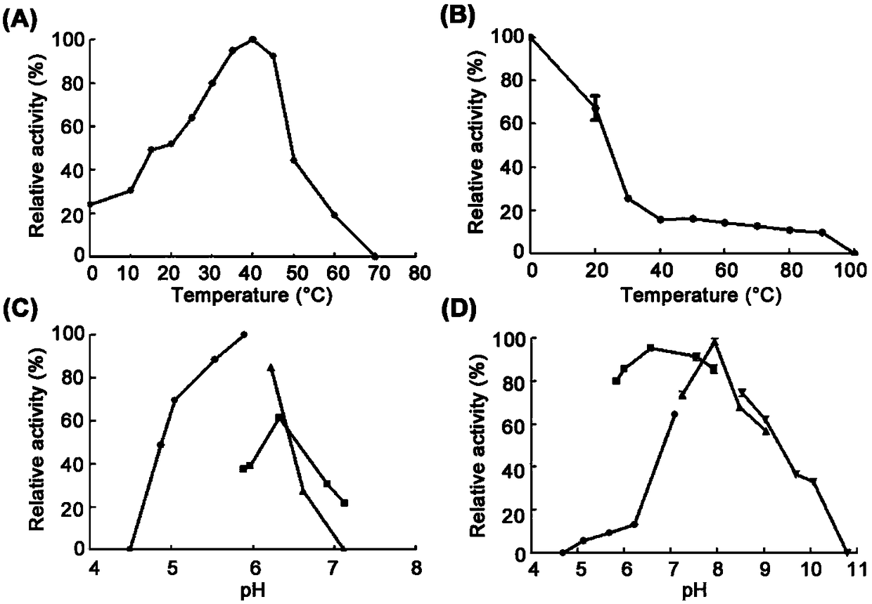 Novel chitosanase CsnM with thermal recovery characteristic and application thereof