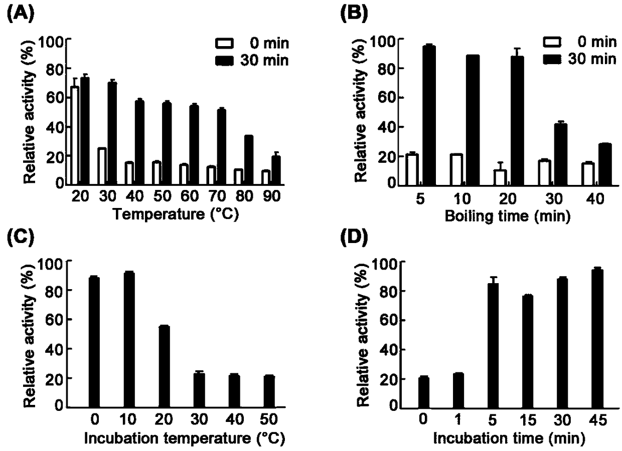 Novel chitosanase CsnM with thermal recovery characteristic and application thereof
