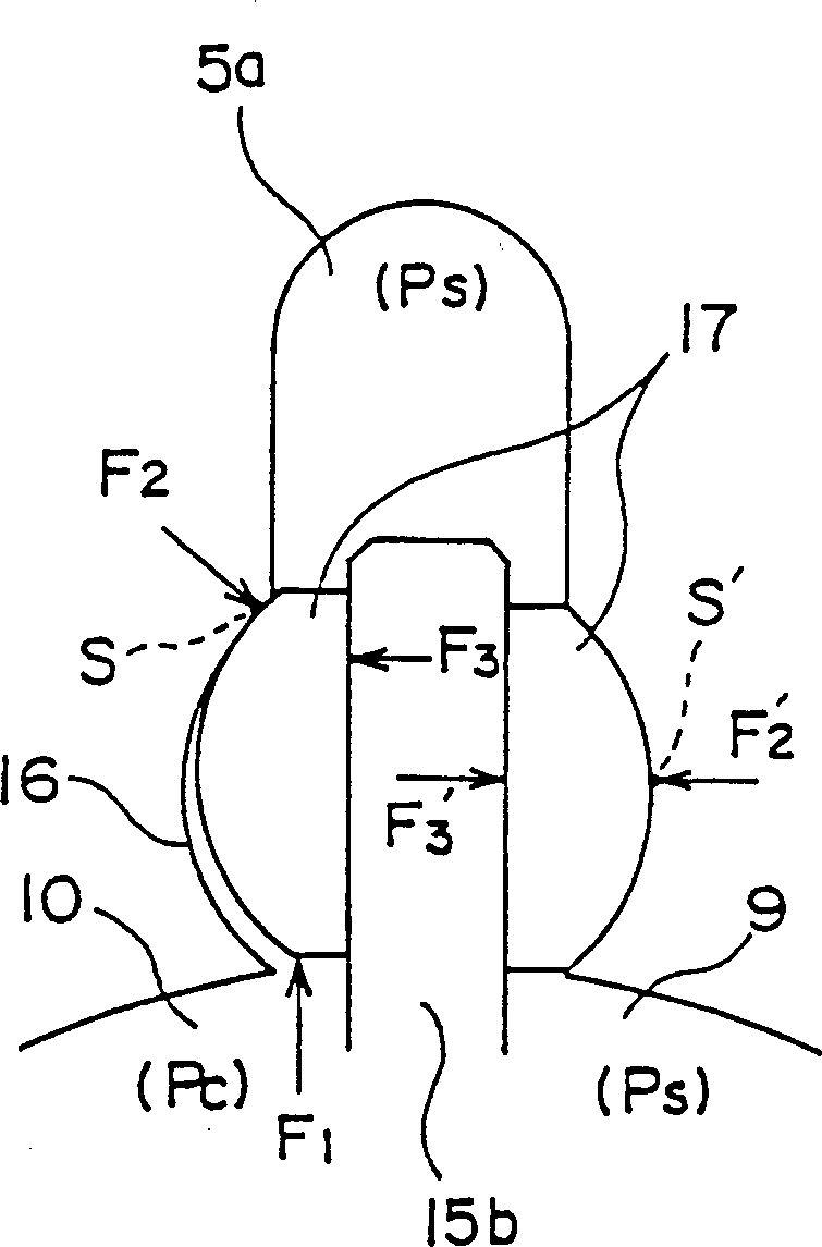 Rotary compressor, refrigerating circulation and ice house using same