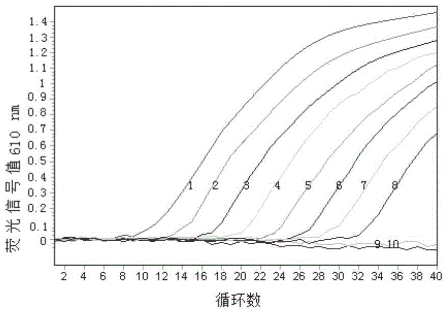 Duck Tembusu virus and Egg Drop Syndrome Virus Duplex Fluorescent Quantitative RT-PCR Detection Kit