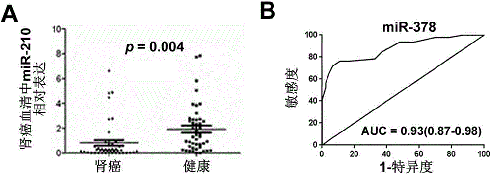 Method for screening kidney cancer peripheral blood miRNA marker and kidney cancer marker miR-378