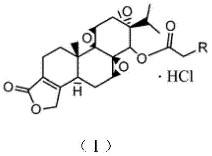 Triptolide derivatives and application thereof