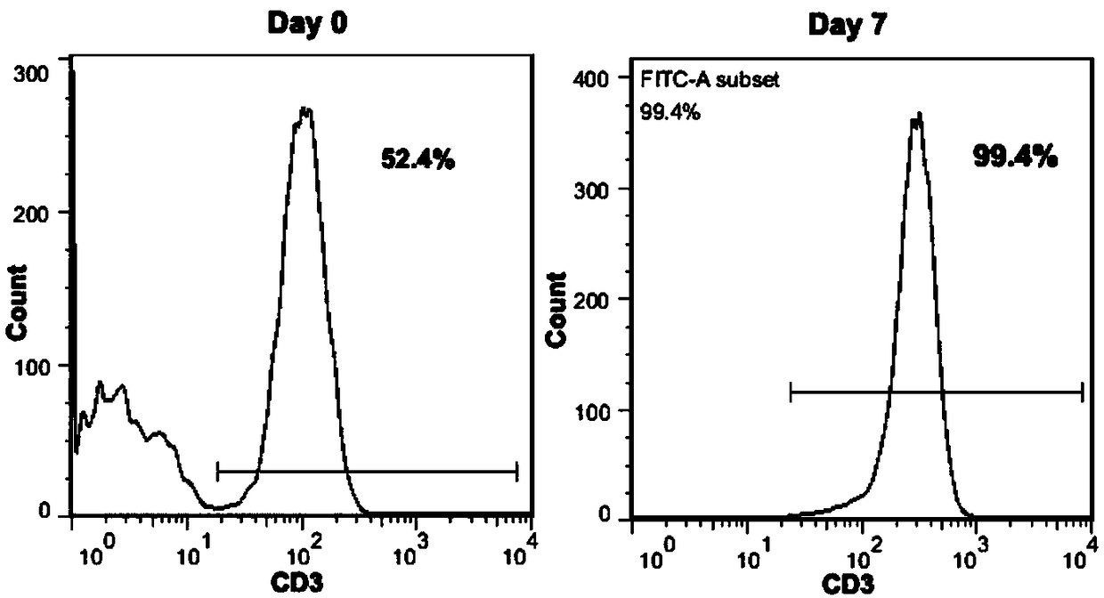Preparation method and application of chimeric antigen receptor T cell of targeted CD19