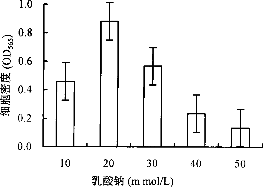 Chemostatic high density culture method of magnetotactic bacteria high yield magnetosome