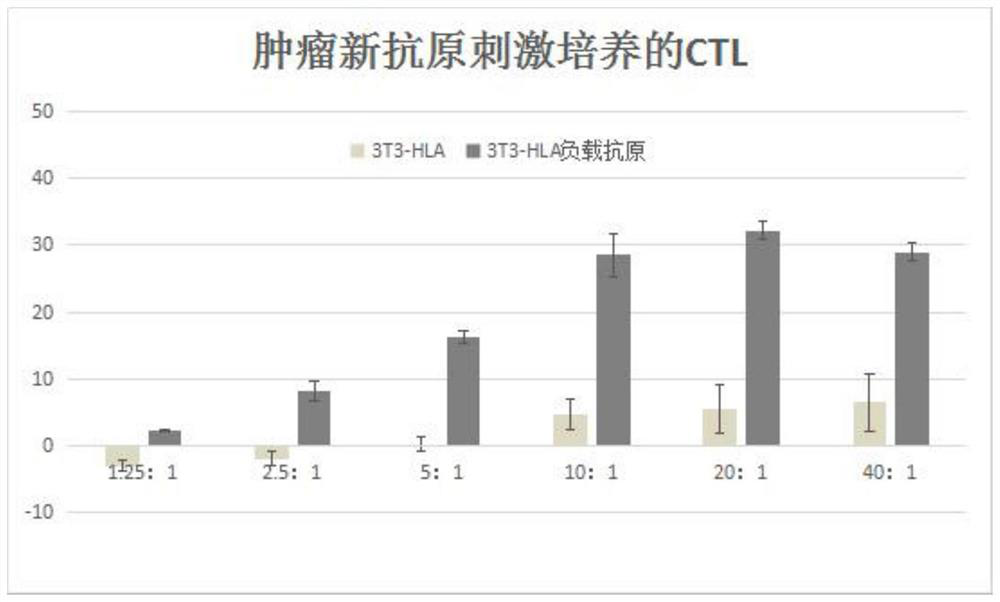 Fallopian tube cancer target antigen, CTL cell cultured by stimulation of fallopian tube cancer target antigen and application of fallopian tube cancer target antigen