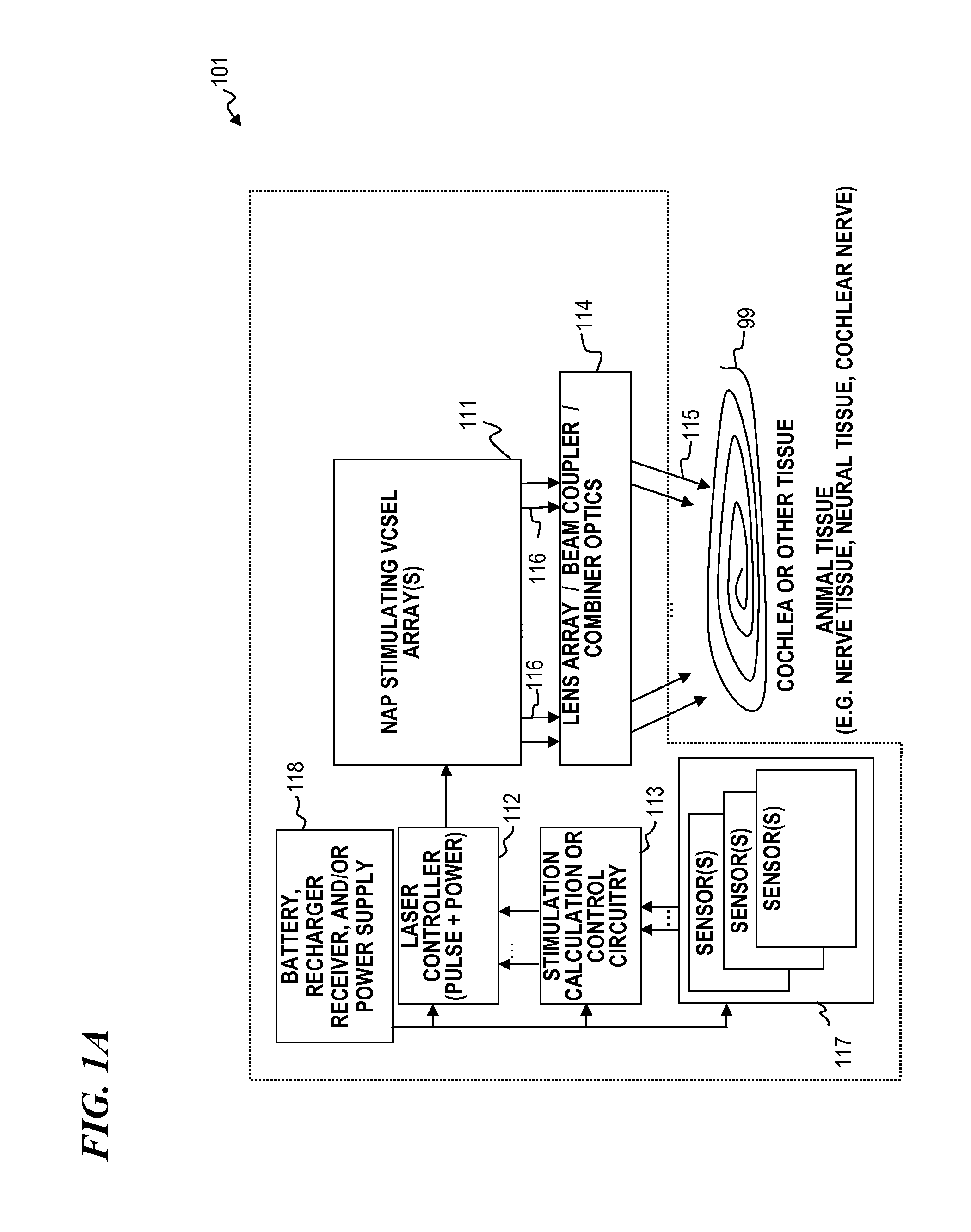 VCSEL array stimulator apparatus and method for light stimulation of bodily tissues