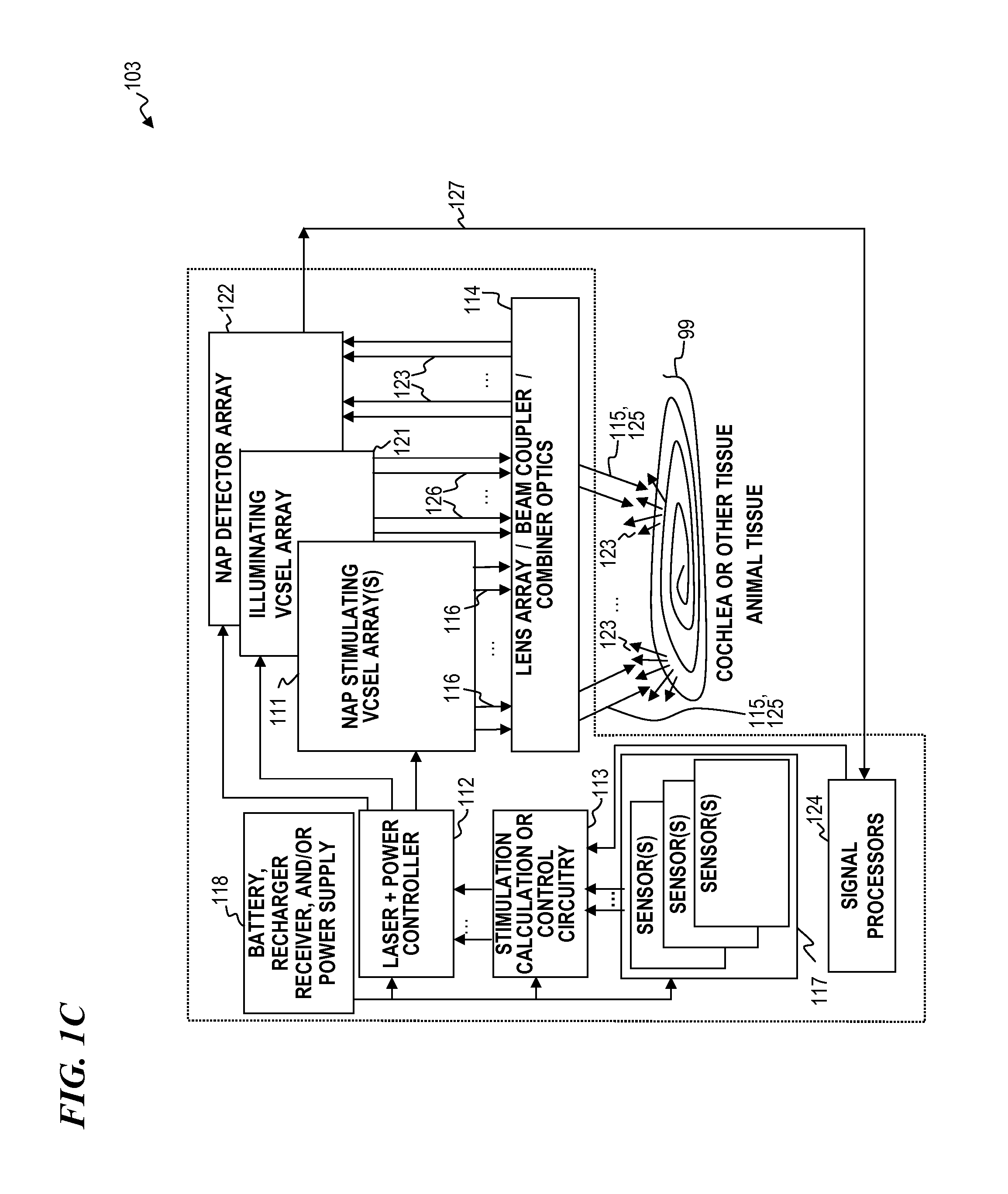 VCSEL array stimulator apparatus and method for light stimulation of bodily tissues