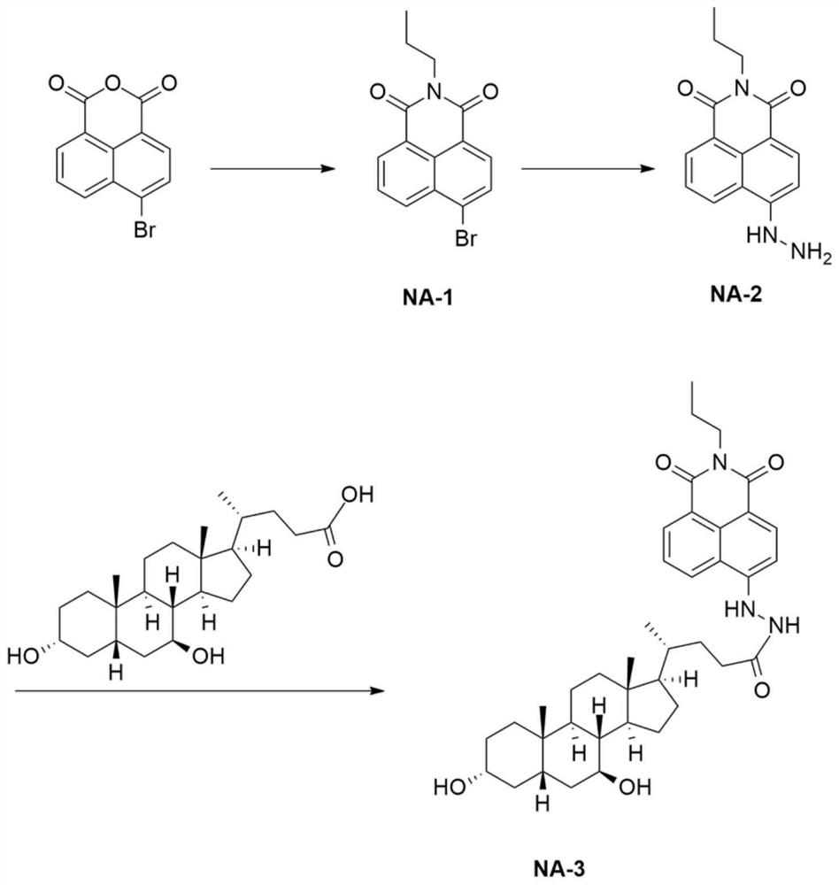 Liver-targeted peroxynitrite fluorescent probe as well as preparation method and application thereof