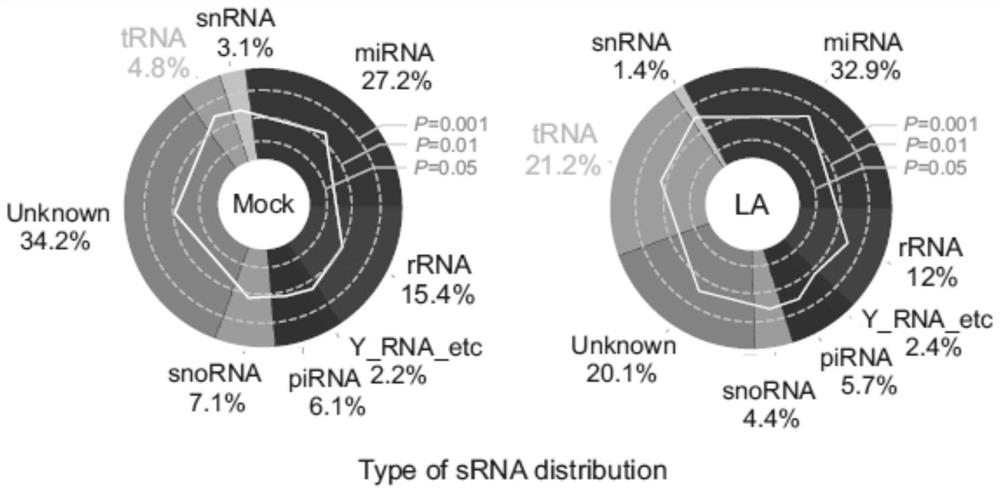 Non-coding small RNA molecular spectrum related to tumor lactic acid microenvironment and application thereof