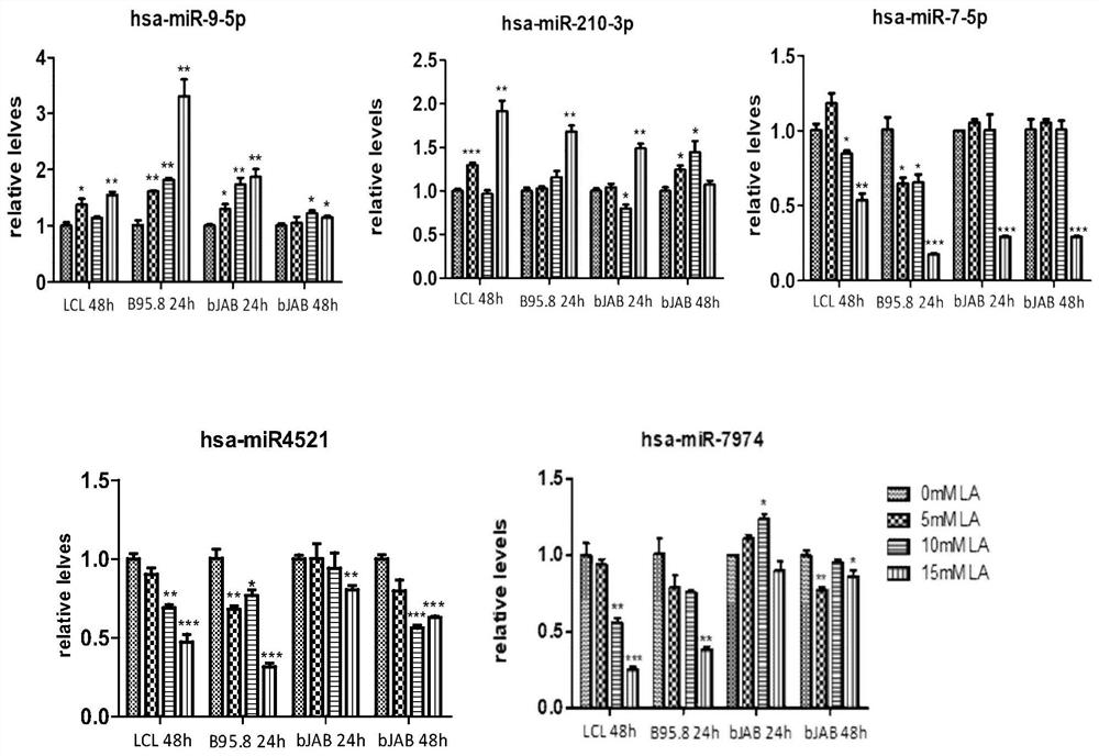 Non-coding small RNA molecular spectrum related to tumor lactic acid microenvironment and application thereof