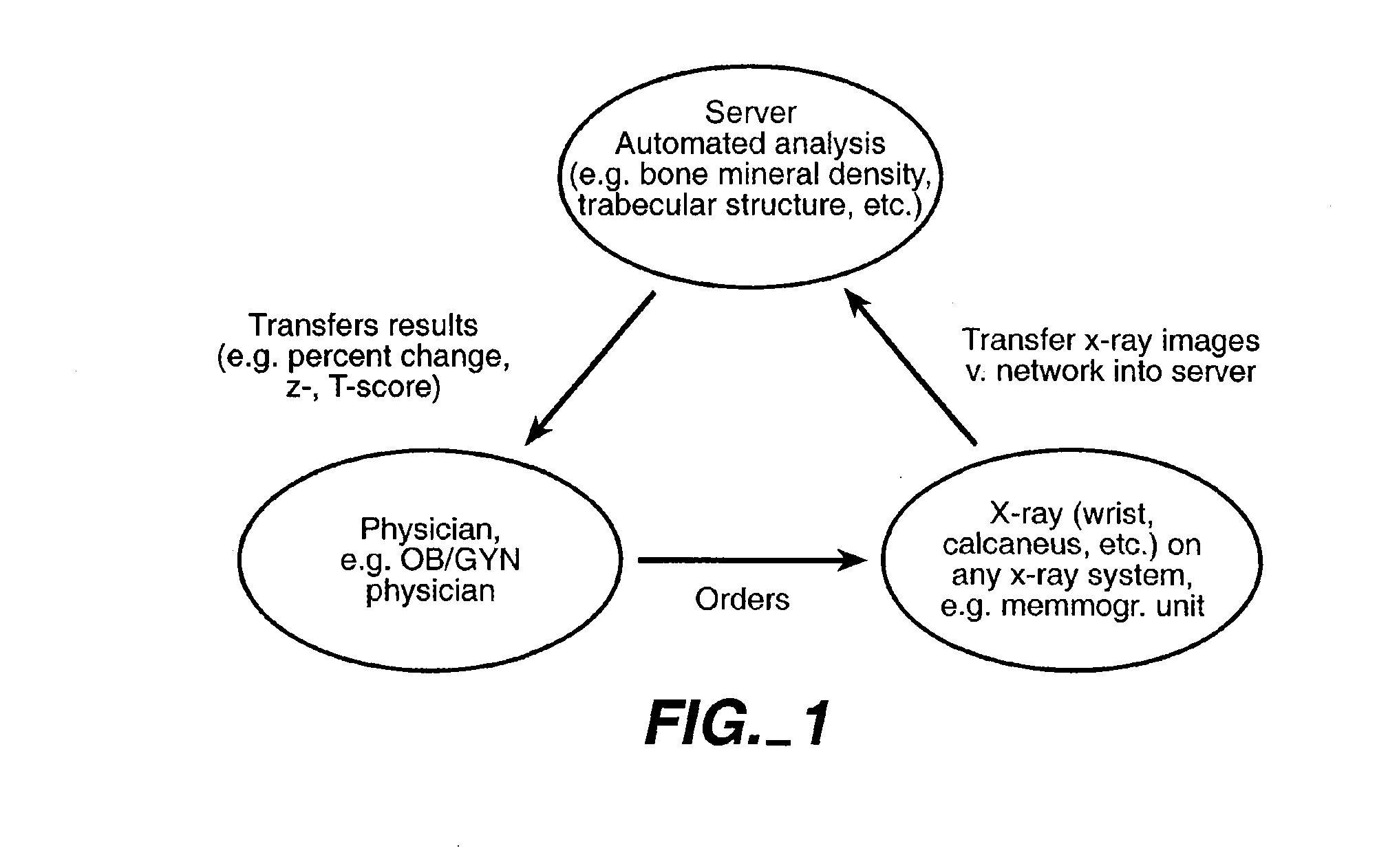 Methods and Devices for Quantitative Analysis of X-Ray Images