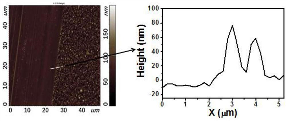 A kind of all-inorganic perovskite photodetector and its preparation method