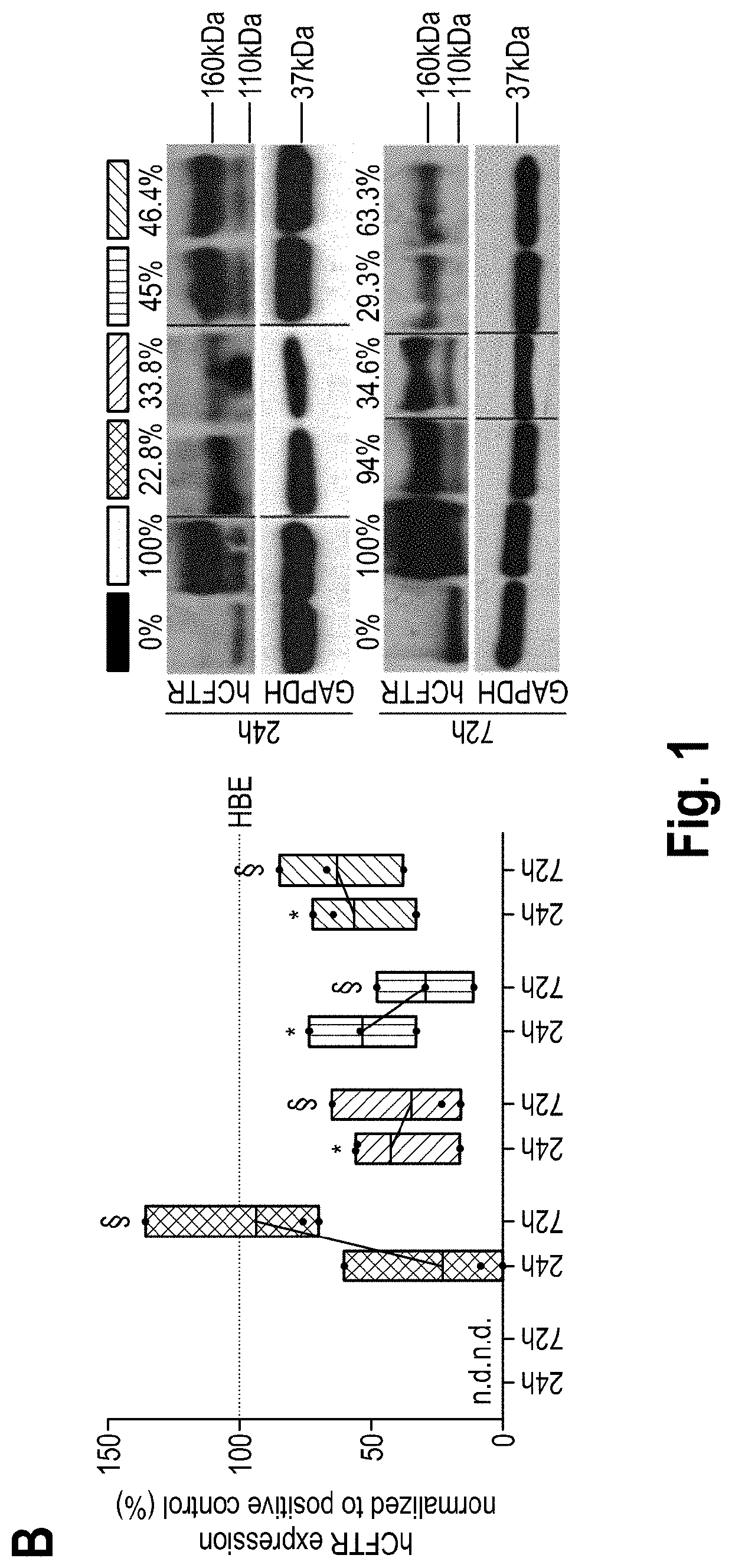 CHEMICALLY MODIFIED mRNA FOR USE IN THE TREATMENT OF A DISEASE ASSOCIATED WITH THE CFTR GENE