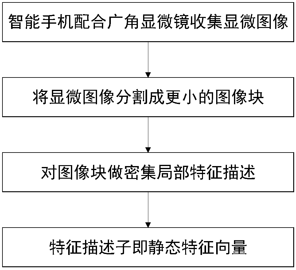 Offline commodity authentication method based on width learning and wide-angle microscopic images