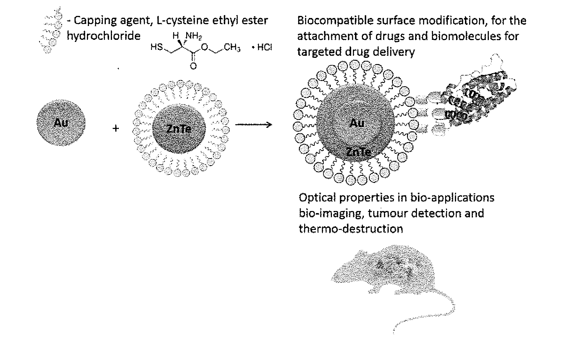 The synthesis of core-shell metal-semiconductor nanomaterials