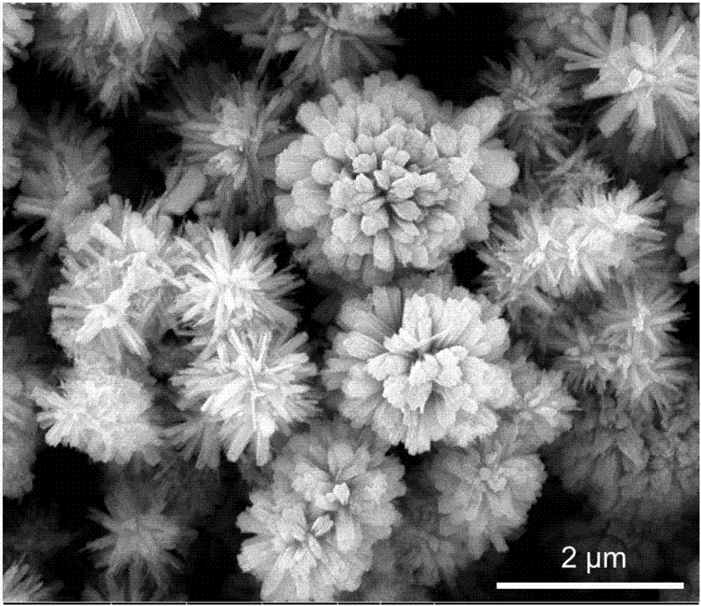 A preparation method of α-feooh three-dimensional multi-level microspheres