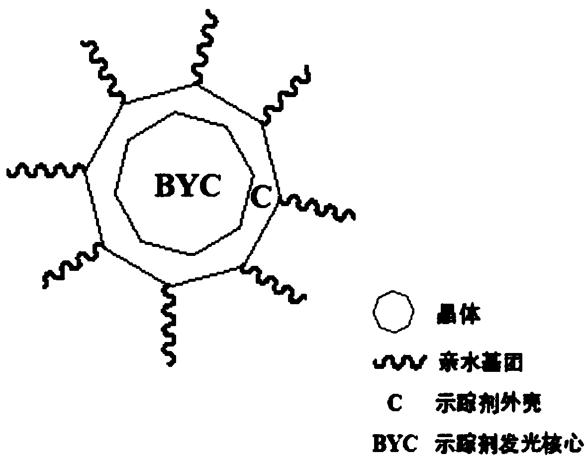 Synthetic method and application of 'BYC tracer agent'