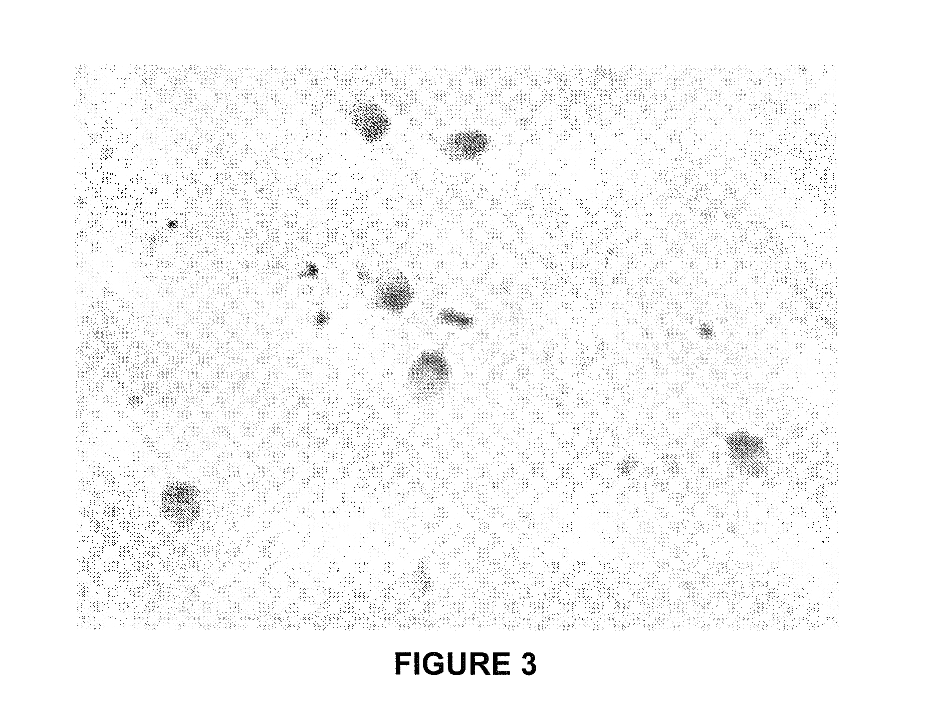 Method For Determining The Production Of Reactive Oxygen Species In A Cellular Population