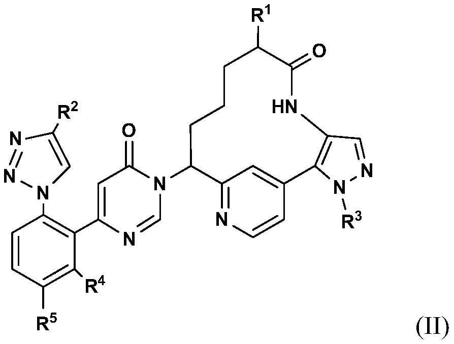 Pyrimidinones as factor xia inhibitors