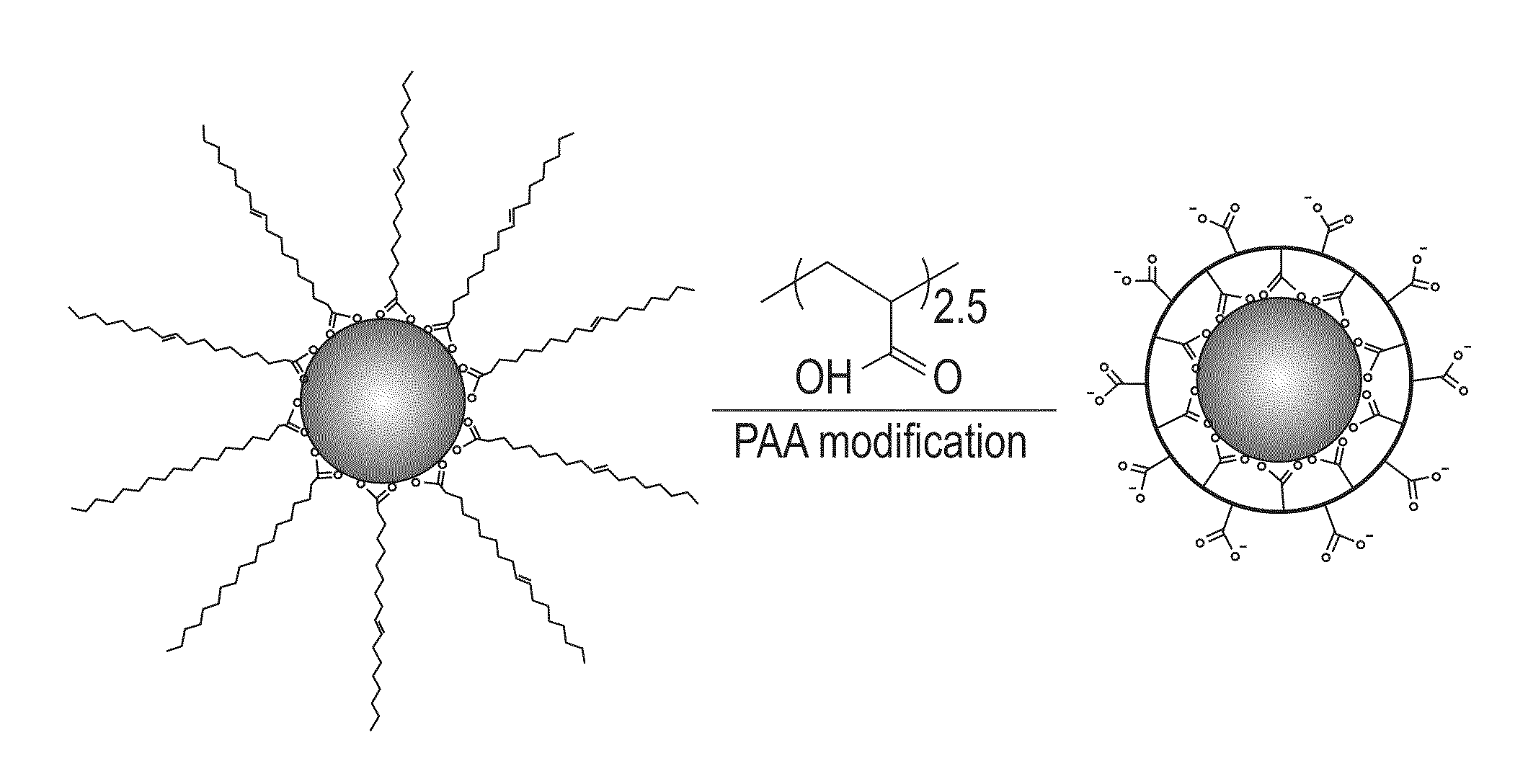 Method for silica encapsulation of magnetic particles