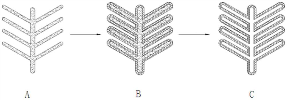 A kind of dendritic graphene and preparation method thereof