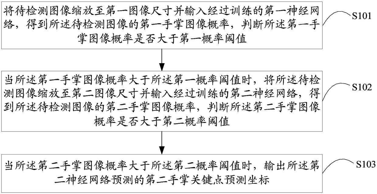 Palm and key point detection method, device and terminal device thereof