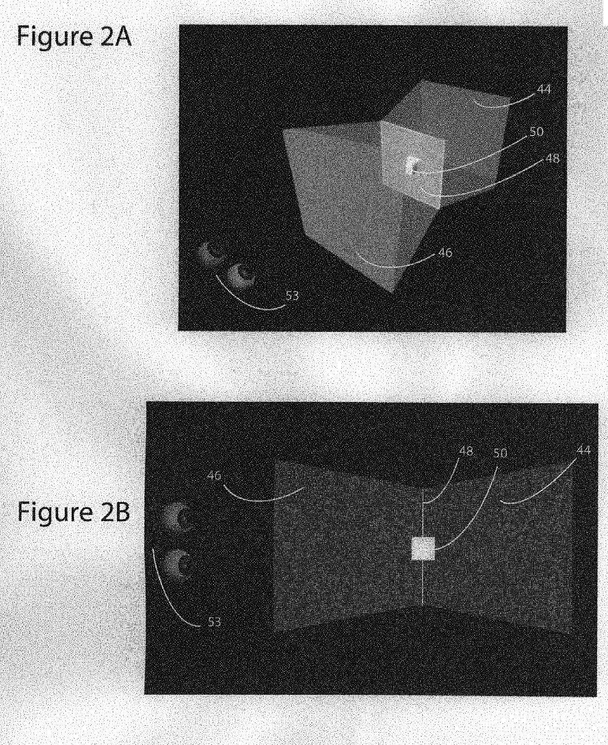 High-Performance Light Field Display Simulator