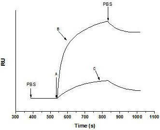 Preparation method and application of a three-dimensional chip for screening components of traditional Chinese medicine