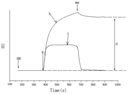 Preparation method and application of a three-dimensional chip for screening components of traditional Chinese medicine