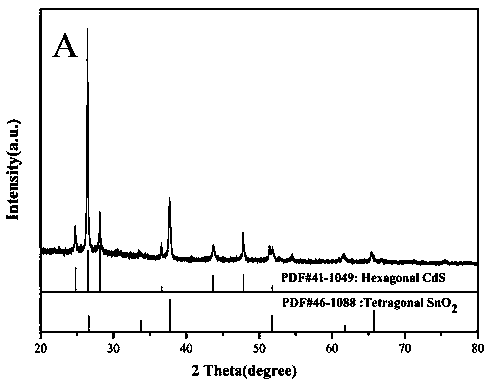 Cadmium sulfide two-dimensional nanorod array catalyst and its preparation method and application