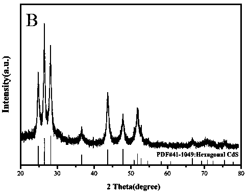 Cadmium sulfide two-dimensional nanorod array catalyst and its preparation method and application