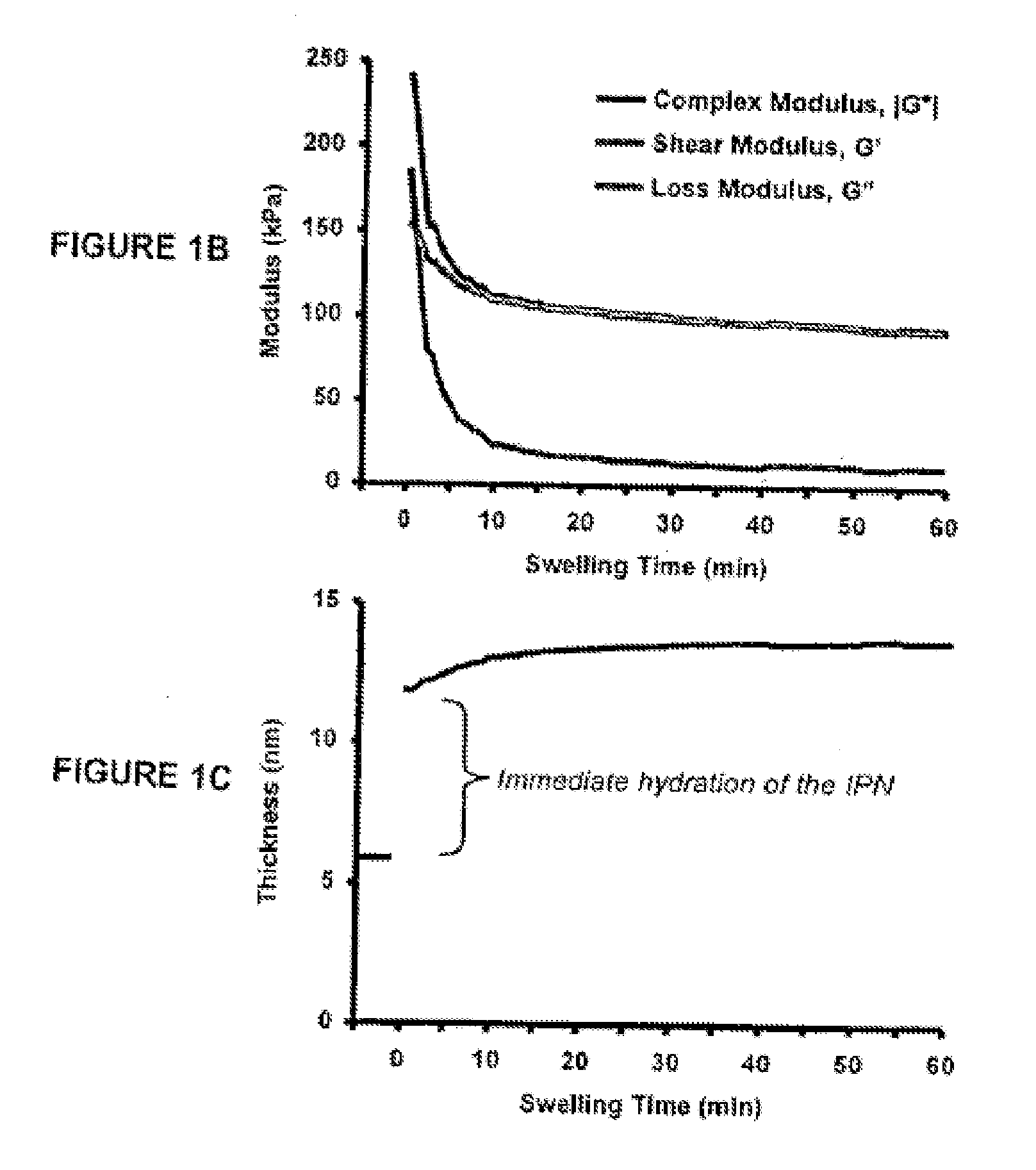 Methods and compositions for stabilizing the myocardium