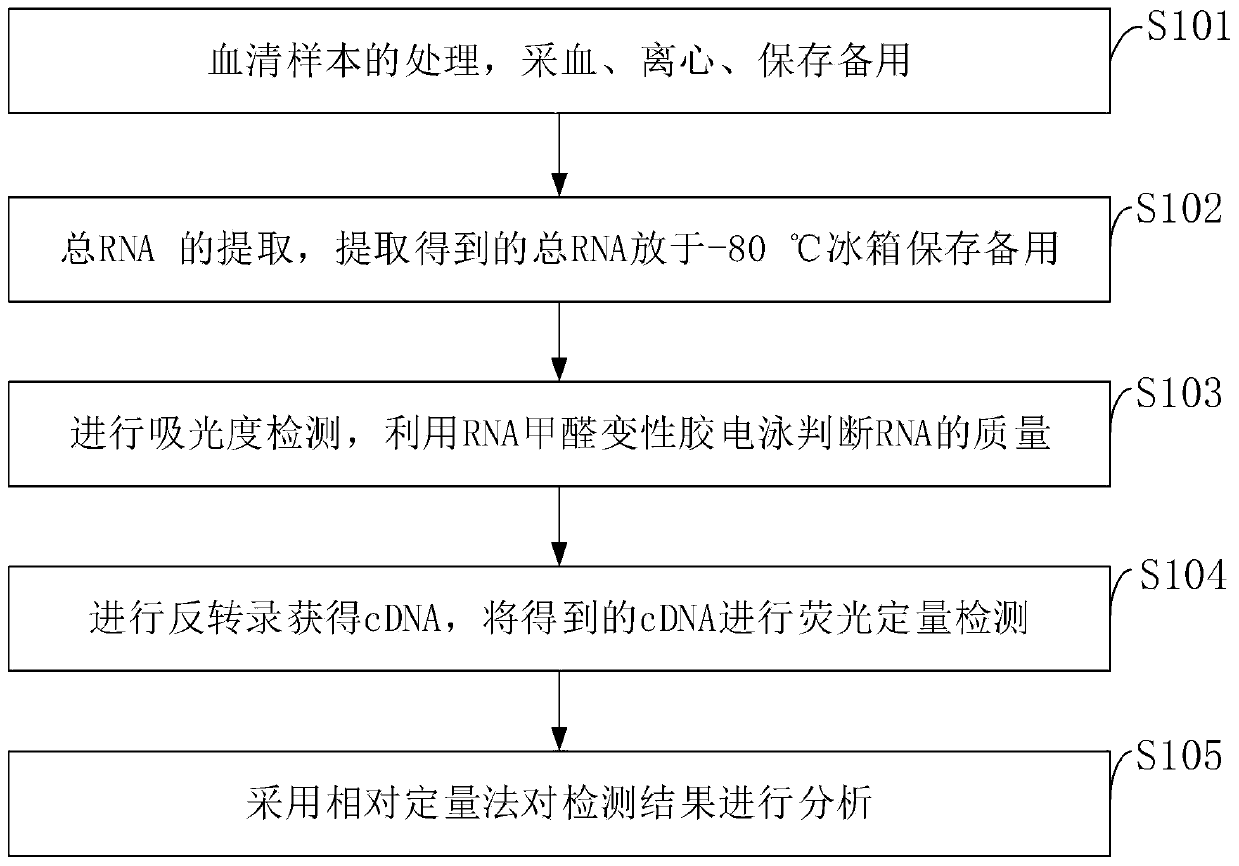 Blood circulation miRNA biomarker assay kit for diagnosis and prognosis evaluation of gastric cancer